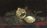 Martin Johnson Heade Magnolia Buds Sweden oil painting reproduction